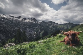 开云kaiyun-格鲁吉亚女篮在欧洲锦标赛中表现亮眼，期待突破极限，格鲁吉亚赛程500