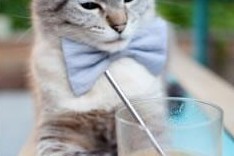 开云体育-亚冠联赛中国队迎战 球员状态成胜负关键，亚冠中国参赛球队