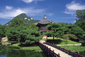 开云平台-蛙泳划频节奏优于去年同期，蛙泳划水频率越低越好吗