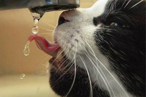 开云官方-李冰洁赛后坦言：尽力就无遗憾，李冰洁赛后采访