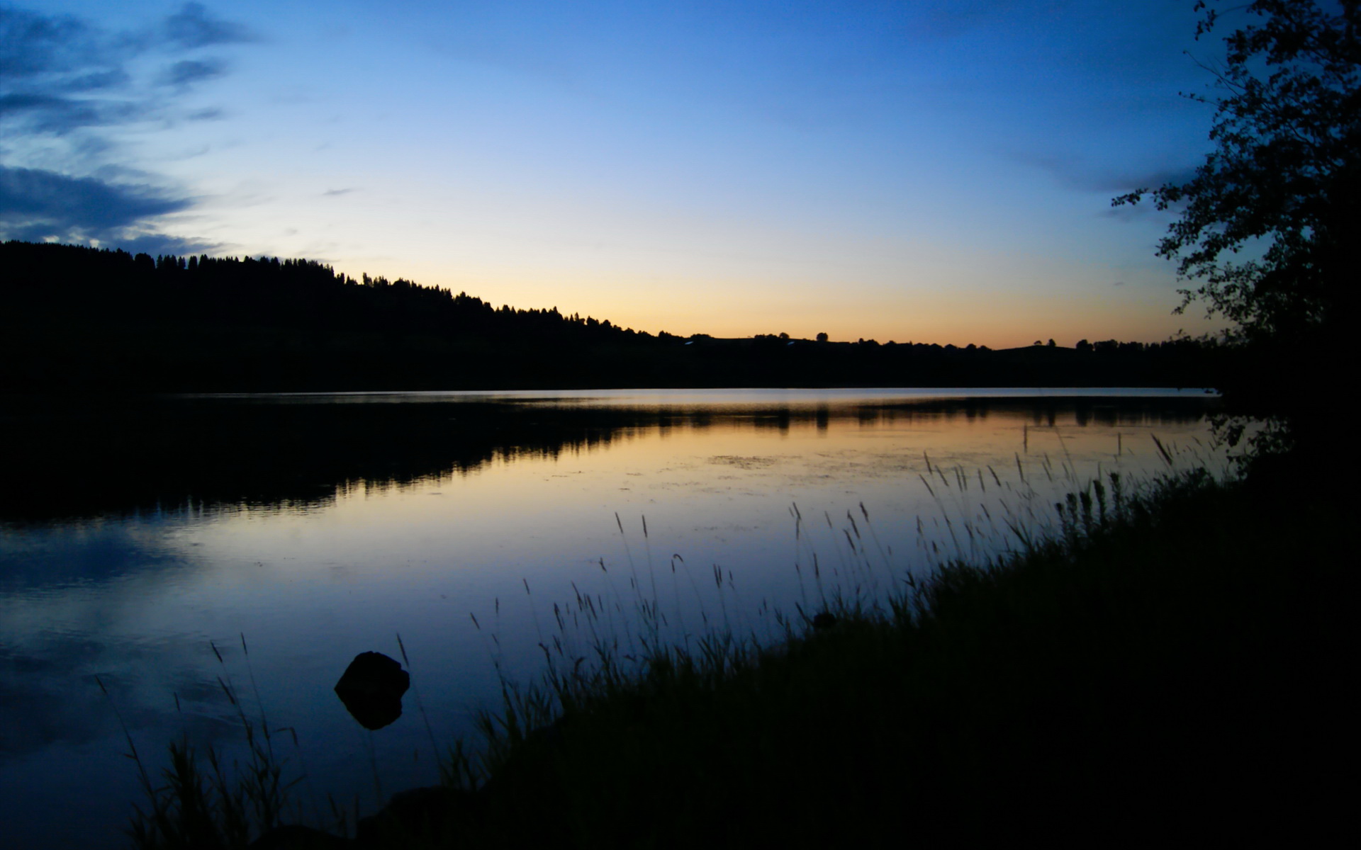 高校运动员心理健康维护体系建设，高校运动员心理健康维护体系建设方案