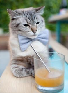 亚冠联赛中国队迎战 球员状态成胜负关键,亚冠中国参赛球队