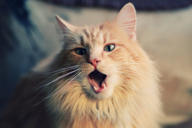 俱乐部管理制度改革缓慢,俱乐部制度有哪些