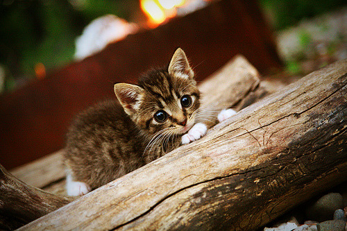 全民健身与社区治理融合成新趋势,社区全民健身的积极意义