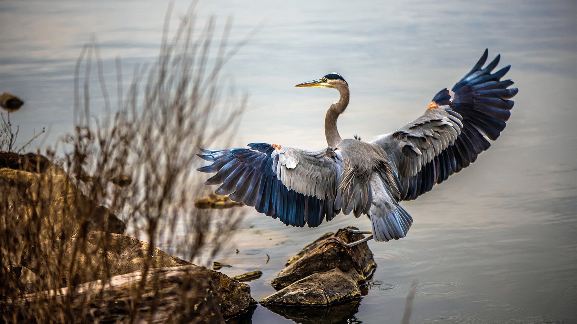 全民健身与社区治理融合成新趋势,社区全民健身的积极意义