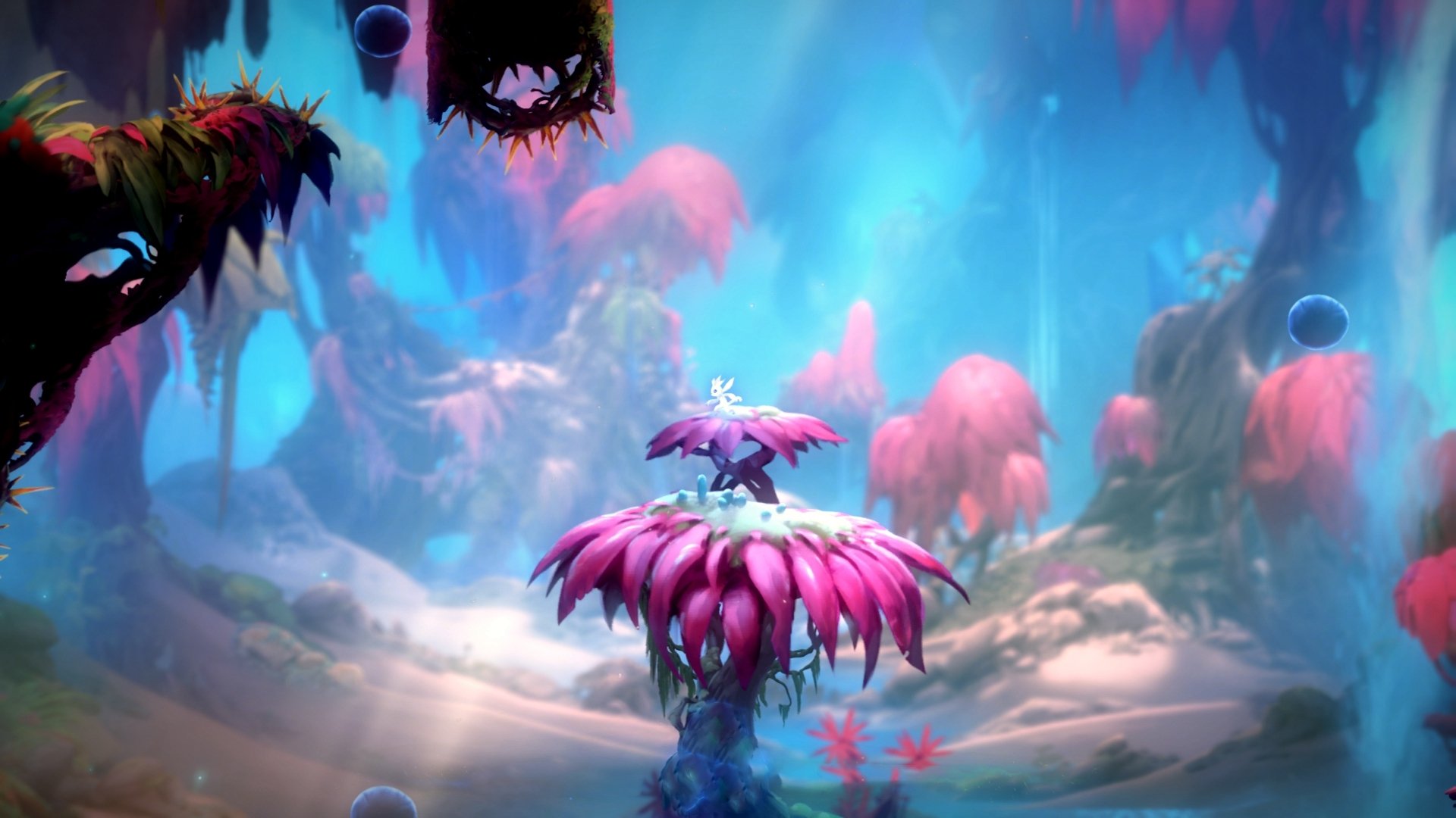 外援投入产出比长期失衡影响投入信心,投入产出比例失衡