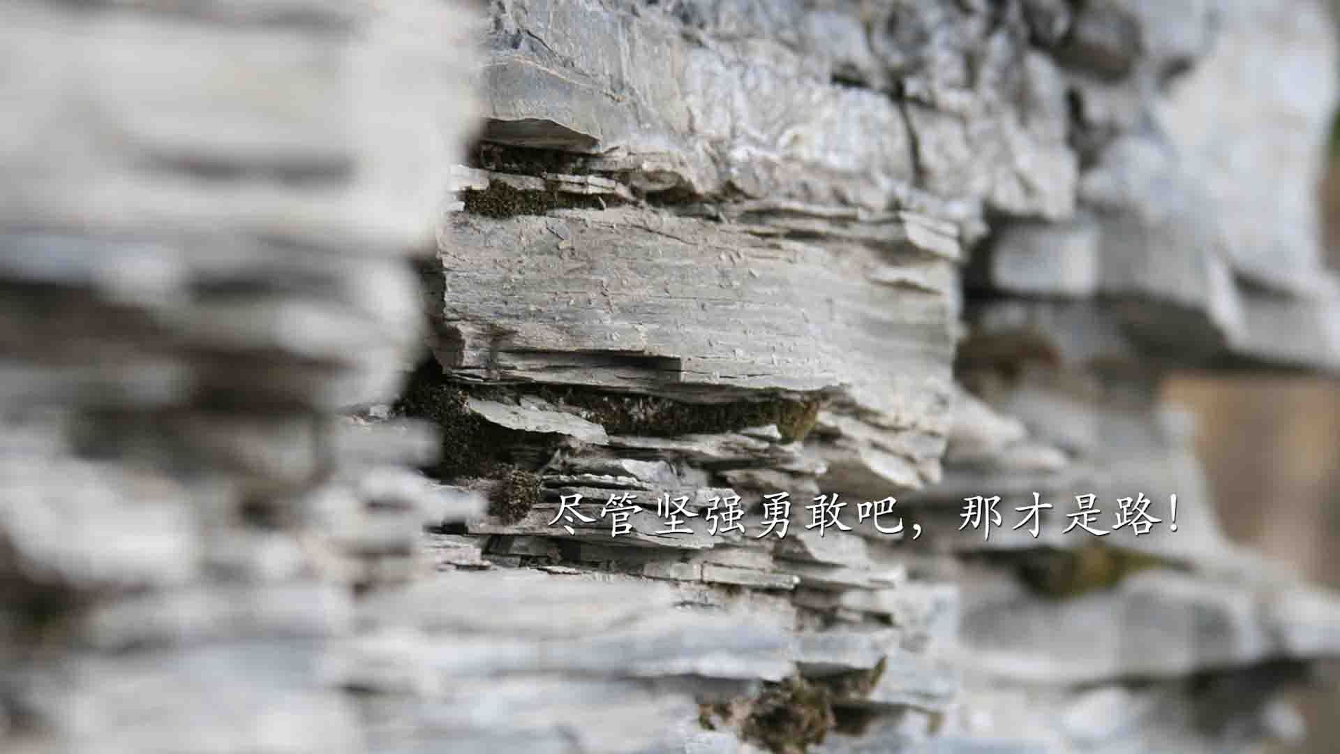 强硬防守球队用身体碾压对手,防守强硬的球员