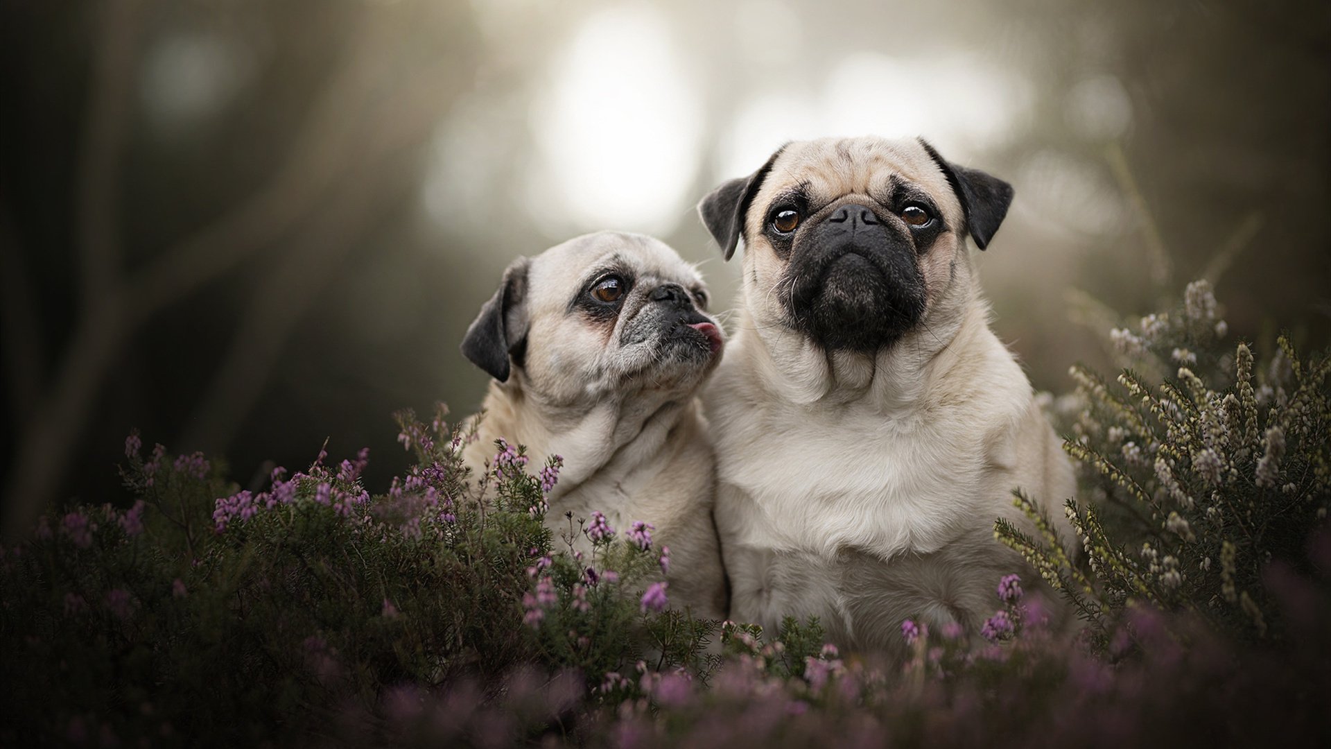 节奏变化是否容易暴露阵容防守弱点,节奏变化的基本方式