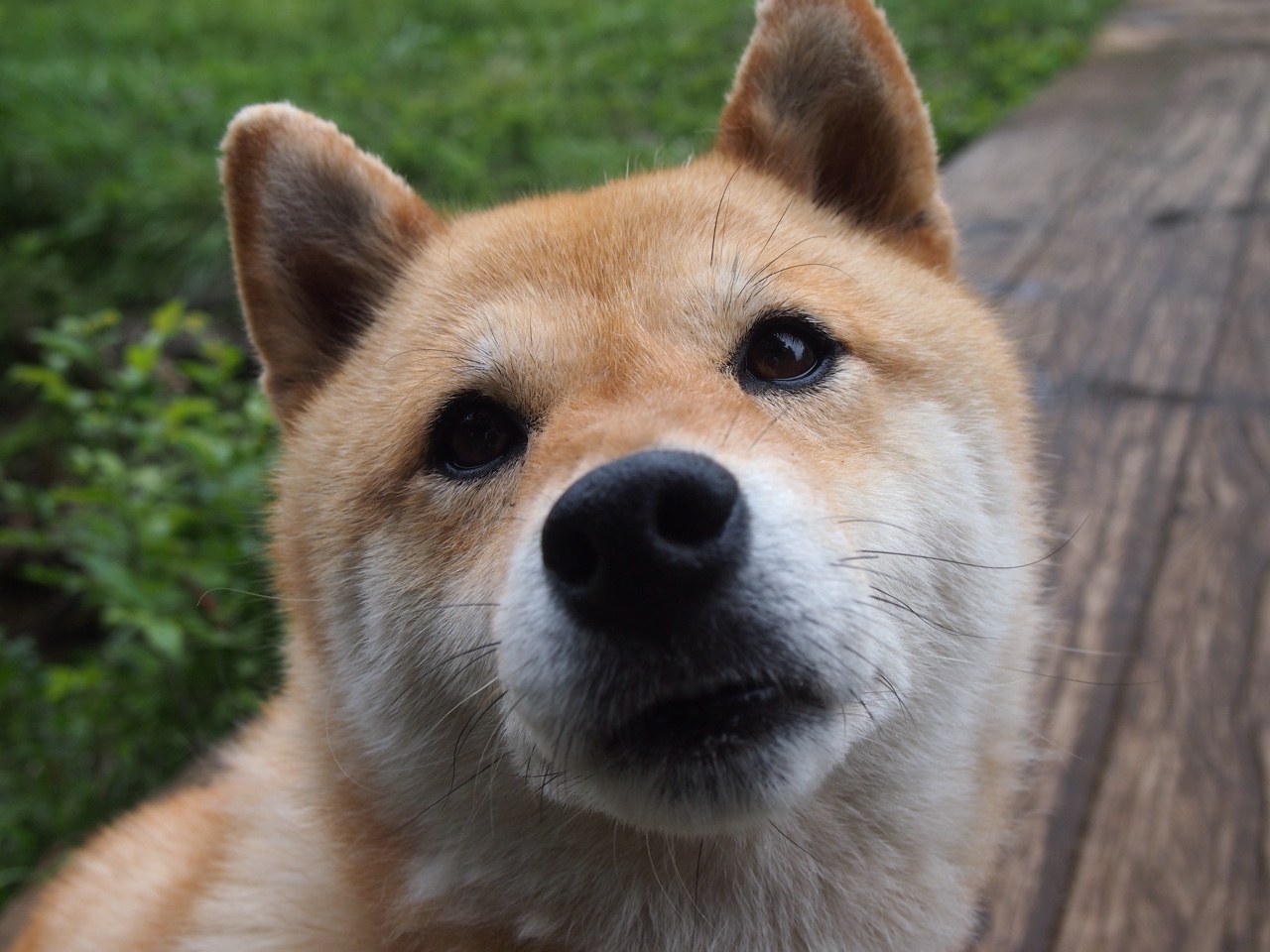 进攻回合加速是否一定能带来更高得分,攻防回合