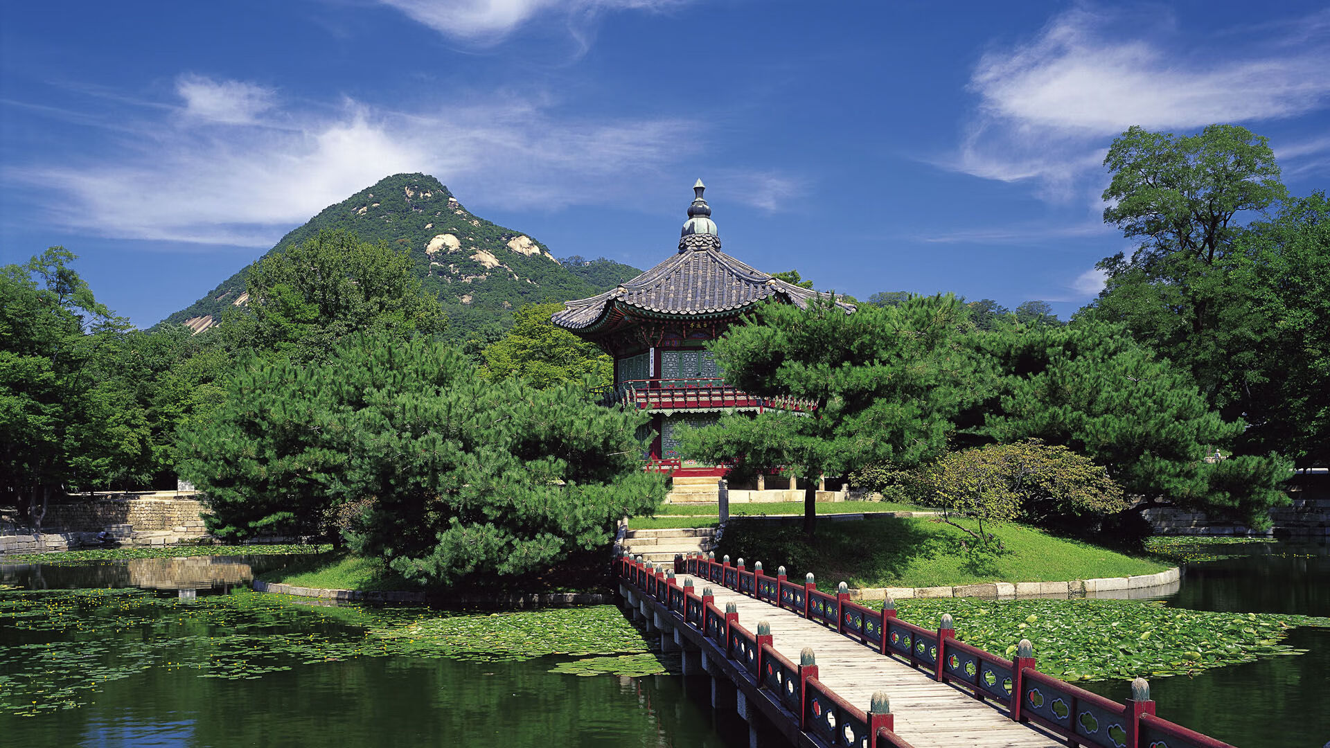 世界杯激情激荡:每一场都让人热血沸腾,世界杯精彩瞬间视频