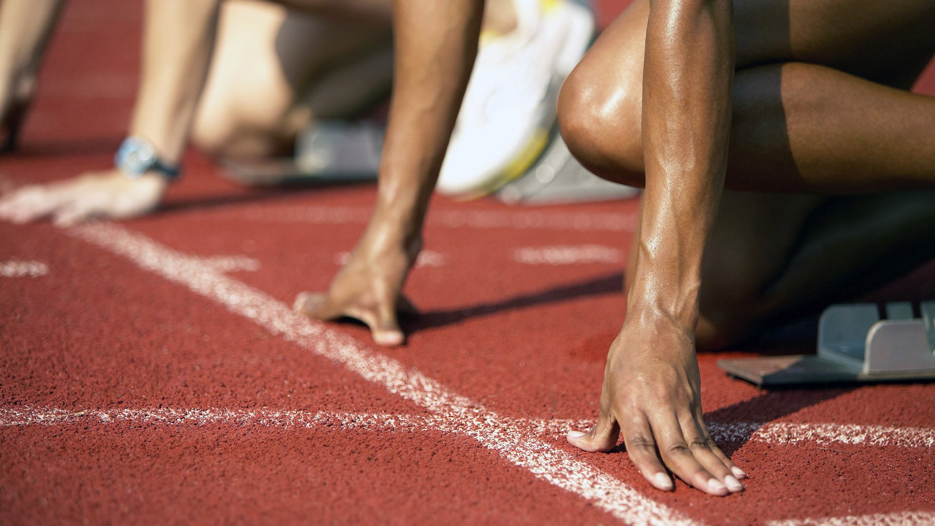 媒体专栏持续更新深度解读体育现象引导理性讨论,体育现象分析