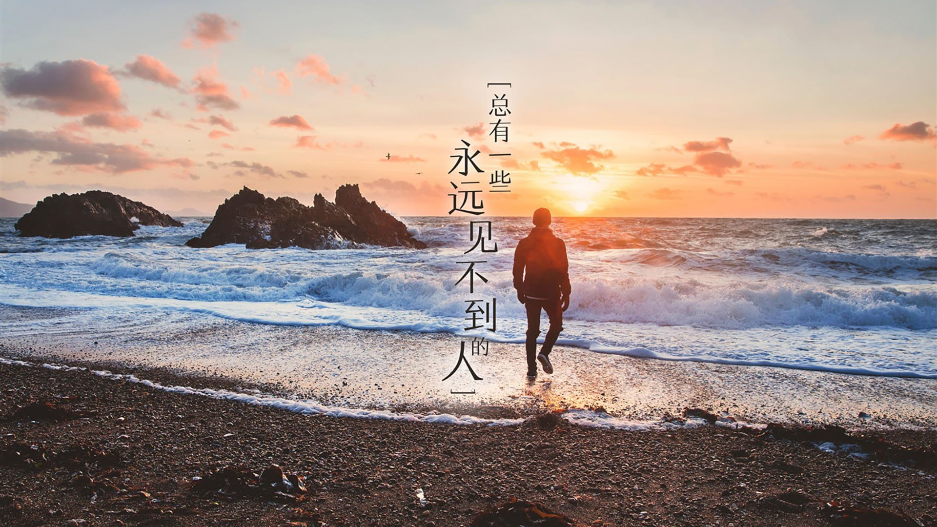 媒体专栏持续更新深度解读体育现象引导理性讨论,体育现象分析