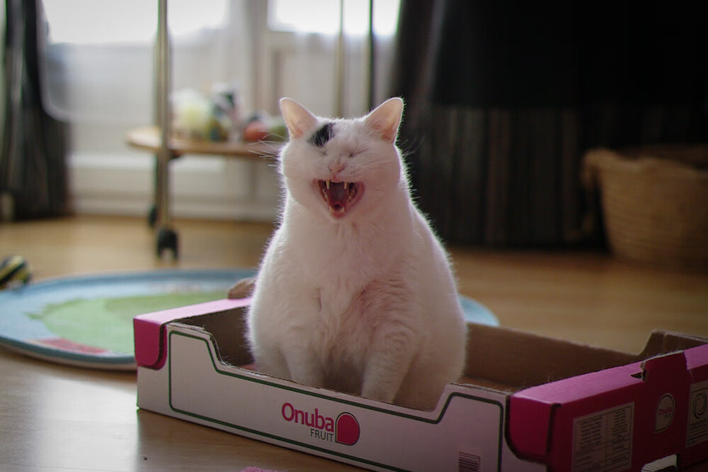 巴西青训体系持续投入,出产多位世界巨星