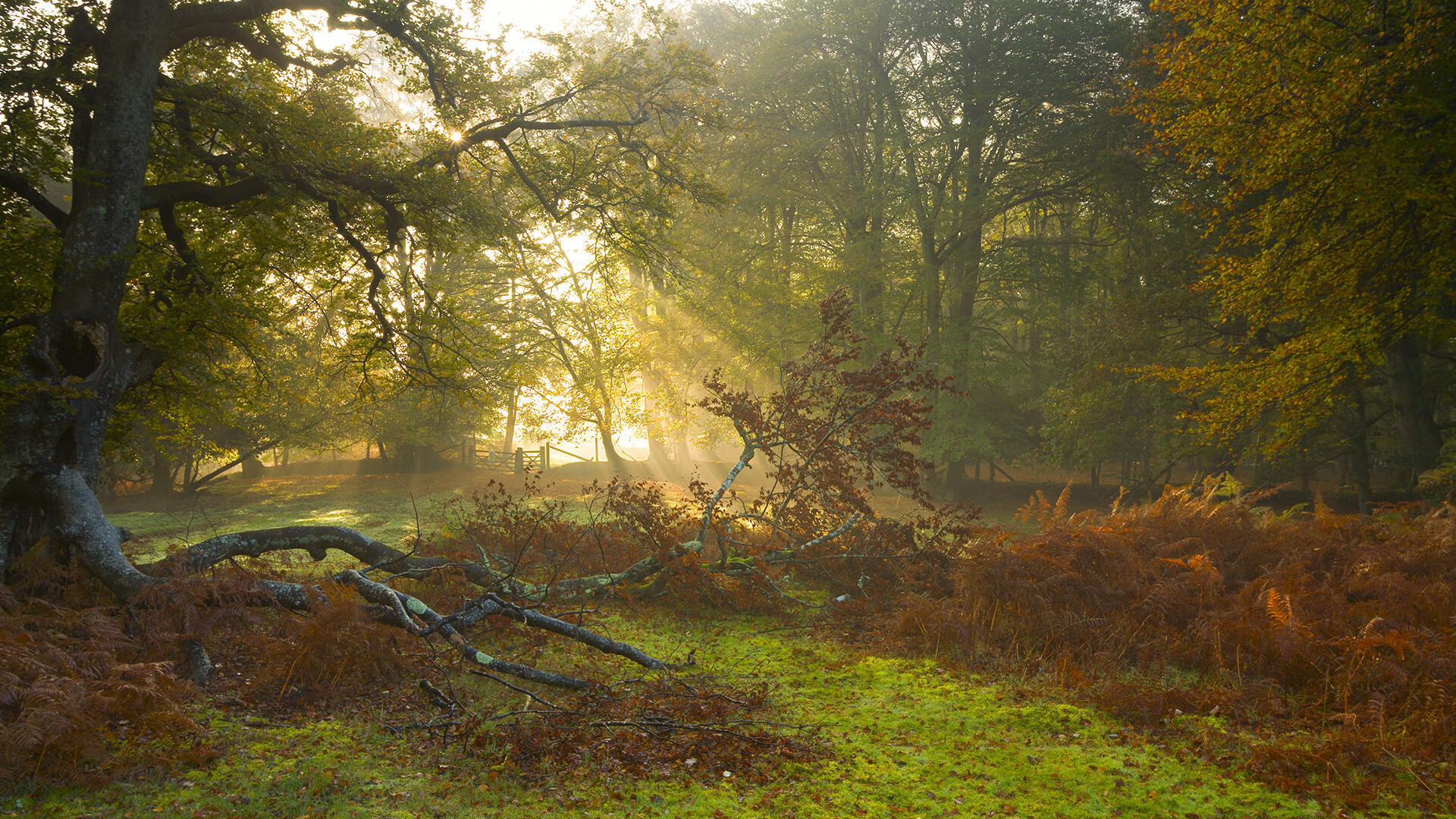 特色足球文化展览席卷全国各大城市,展现多元风采,足球文化博物馆