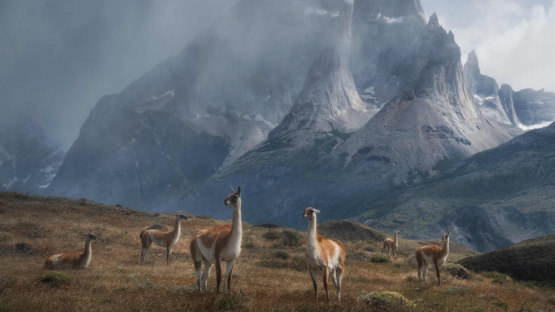 莱谢恩·卡萨斯用速度与耐力完美结合,莱恩卡斯滕