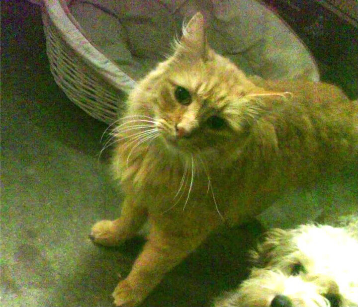 《冠军奥运篇》揭秘蔡赟的成长与奋斗故事，蔡赟单打成绩