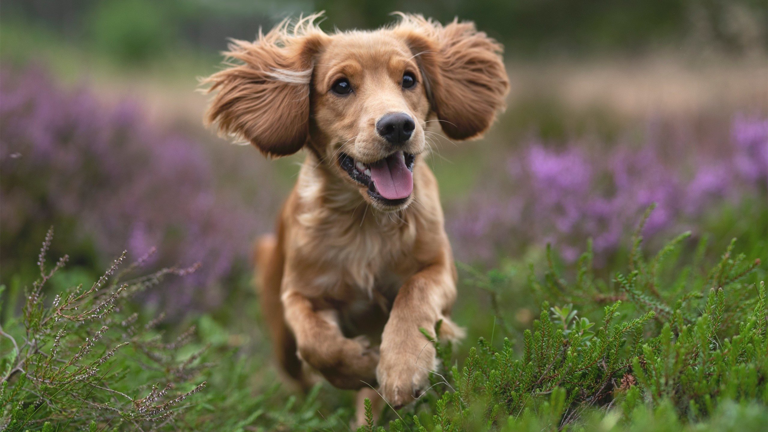 中国足球女足年轻队员出国训练后的成长路径，国足女生