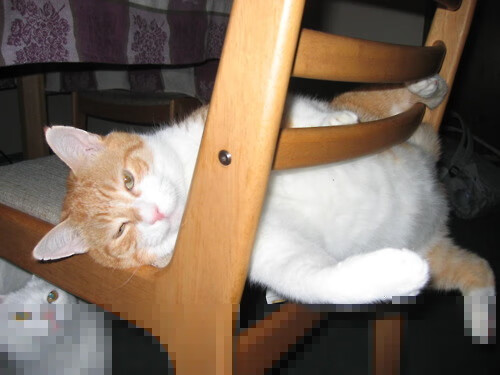 中国足球青少年足球技能测试系统逐步完善，全国足球运动技能等级测试