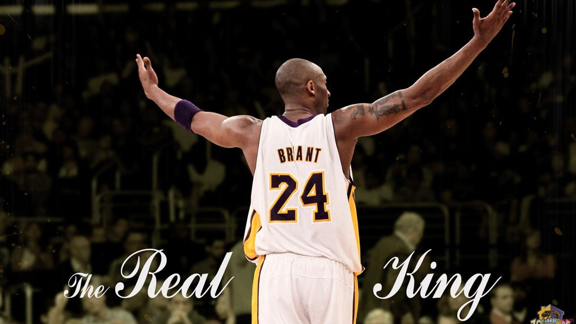 女排世锦赛决赛：塞尔维亚横扫意大利 完成世锦赛两连冠